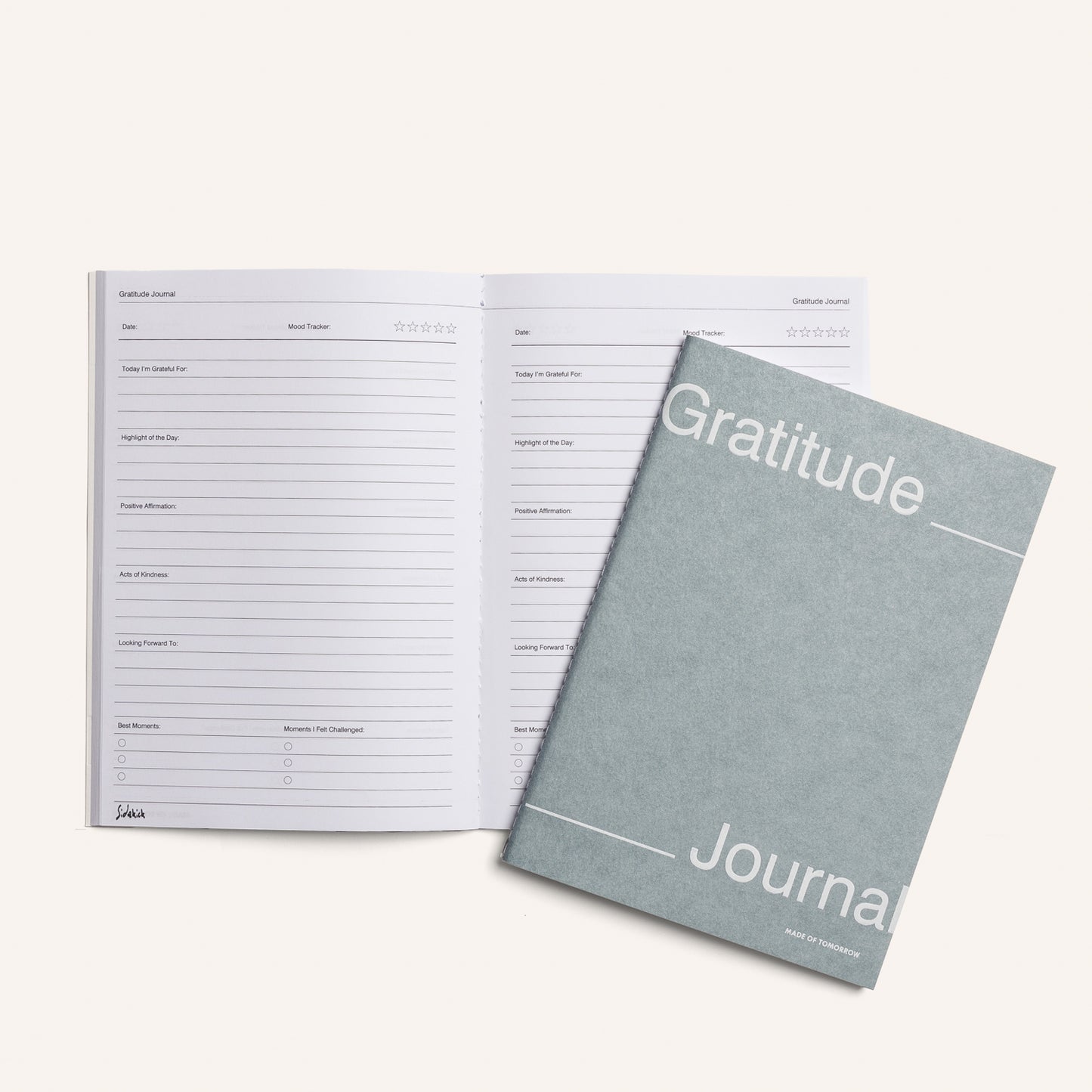 Sidekick Journals